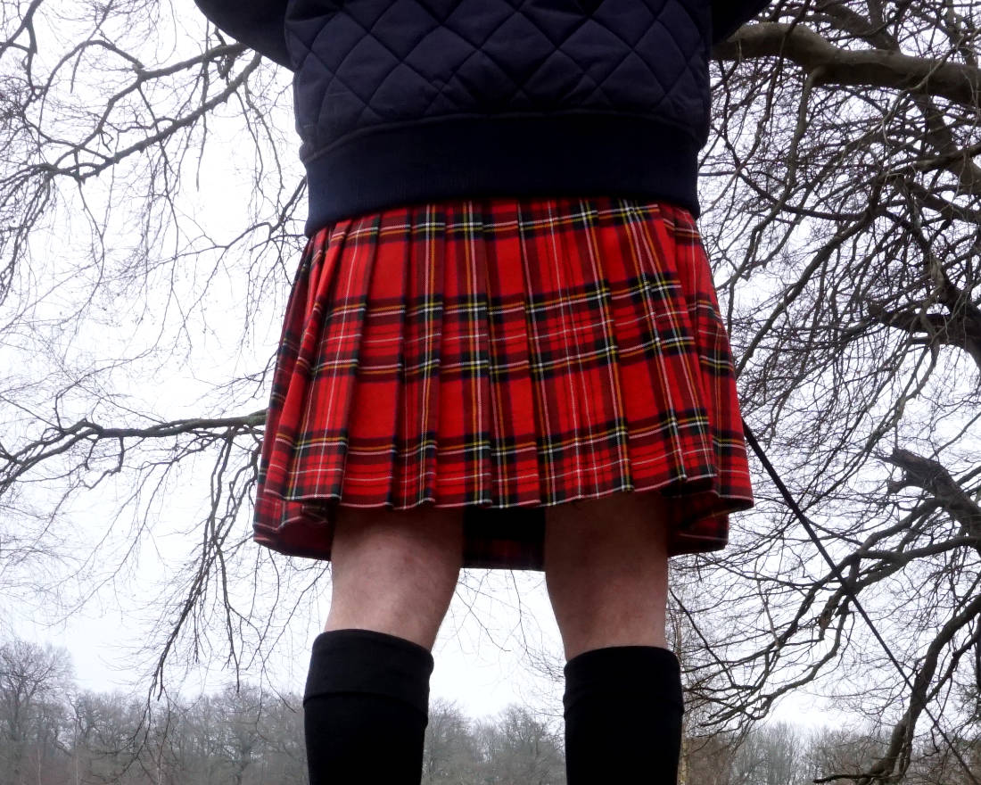 Kilt Stewart Royal tartan