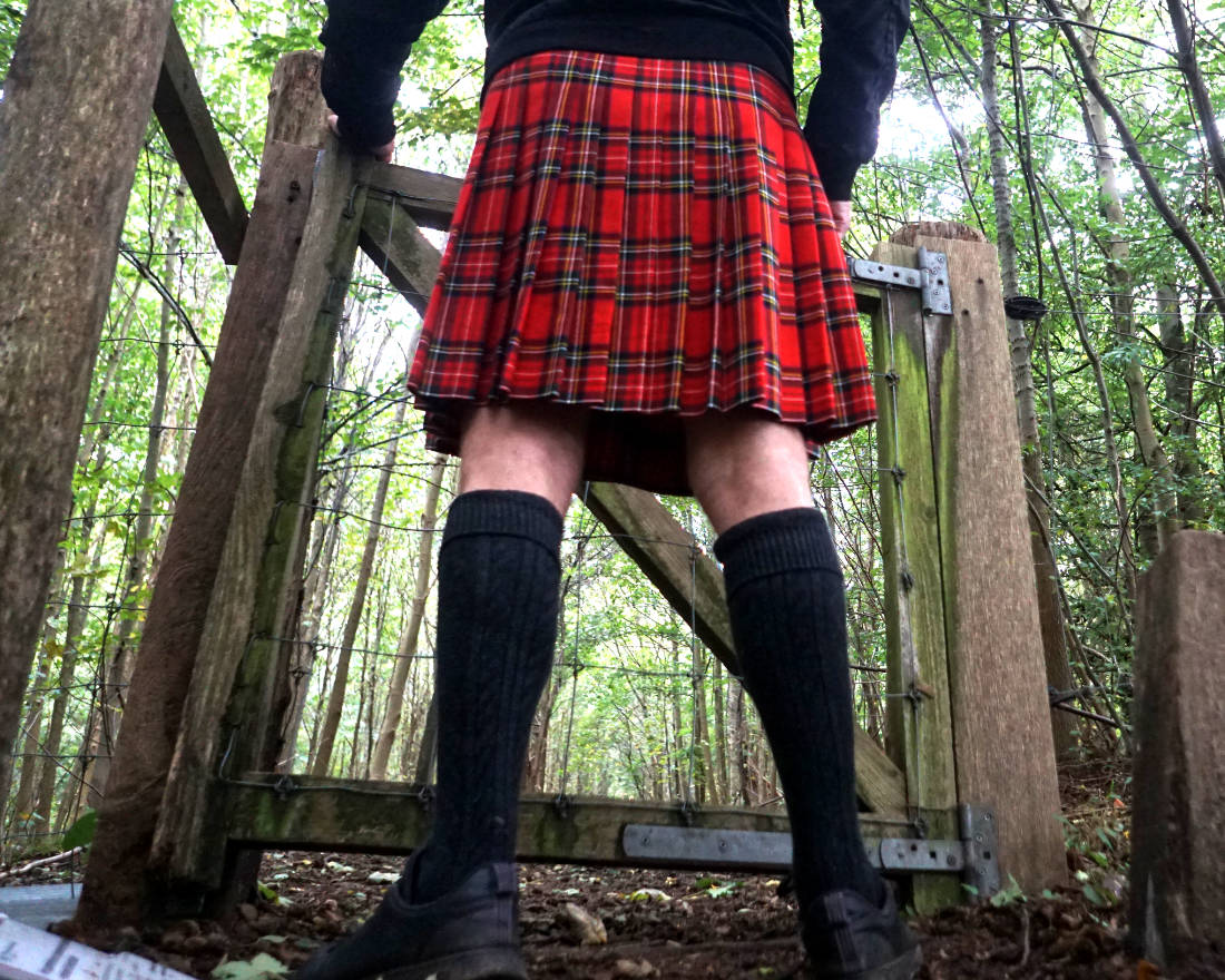 Kilt Stewart Royal tartan