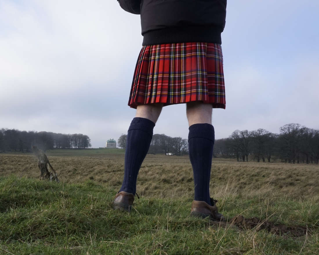 Kilt Stewart Royal tartan