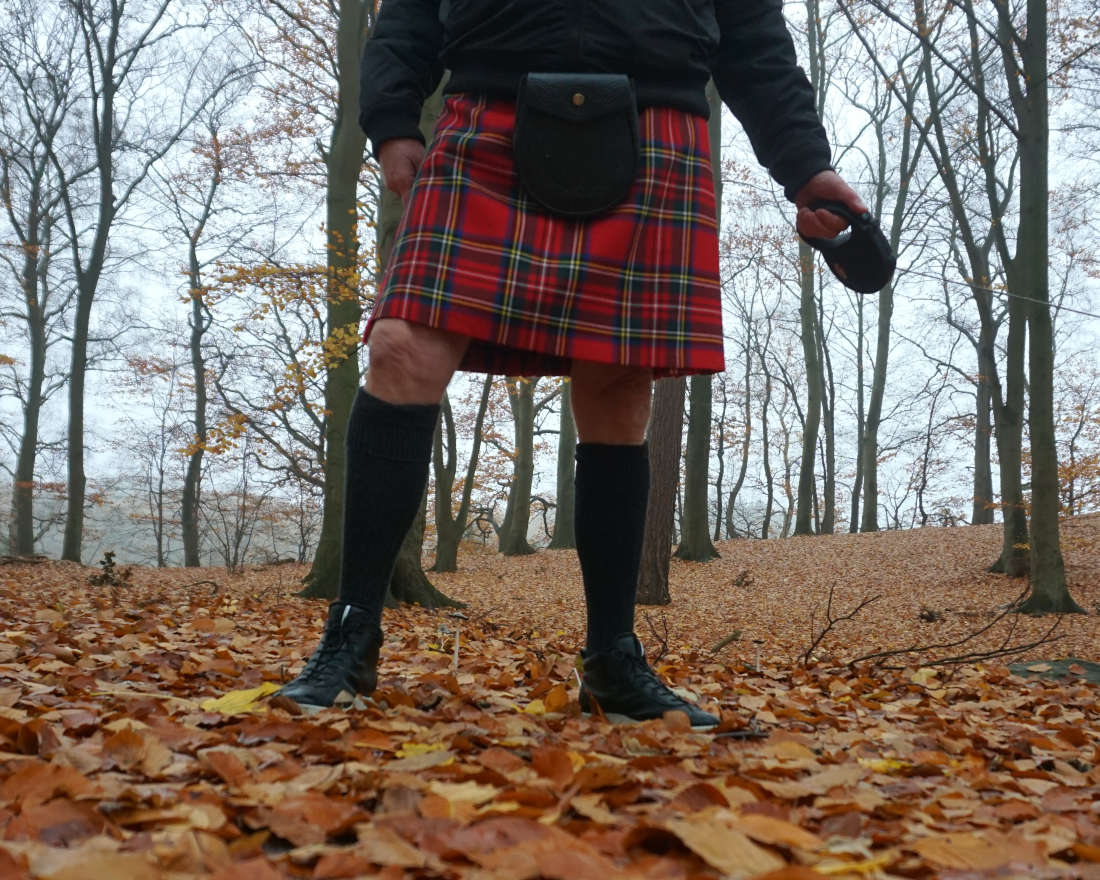 Kilt Stewart Royal tartan