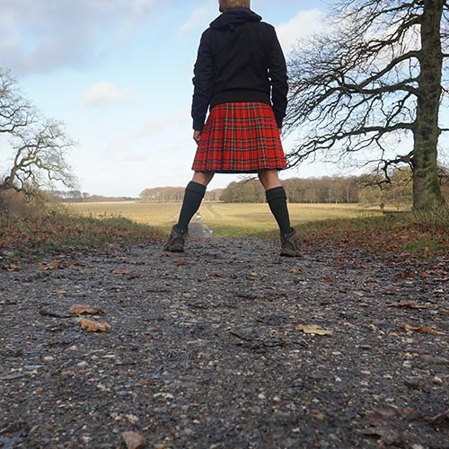 Kilt Stewart Royal tartan